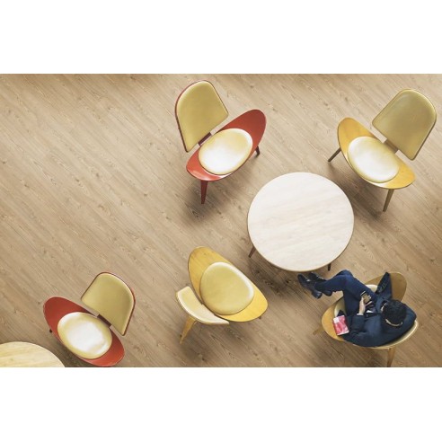 FAUS - ECO - CASTAÑO AZORES - S184176