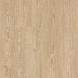 FAUS - ECO - CASTAÑO AZORES - S184176