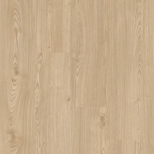FAUS - ECO - CASTAÑO AZORES - S184176