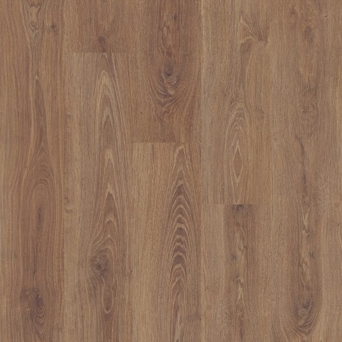 TEMPO - ROBLE BERMONT S184435