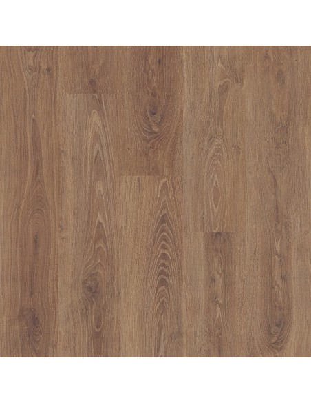 TEMPO - ROBLE BERMONT S184435
