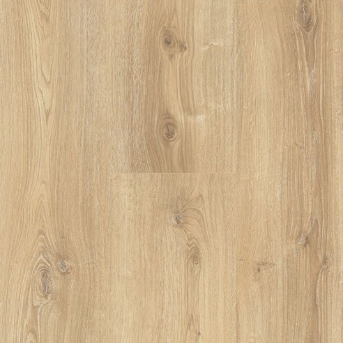 PARADOR BASIC 600 ROBLE NOVA CLARO CALIZO 1744353