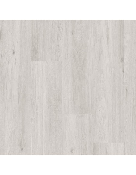 FAUS - ECO - ROBLE CABRERA - S184206
