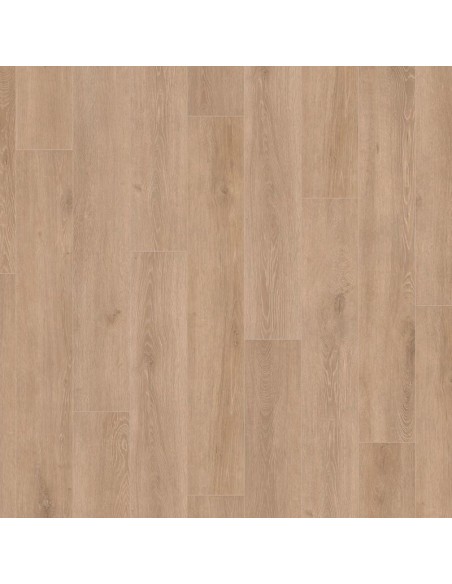 TRITTY 100 G.2 4V- ROBLE VENETO CREMA (535261)