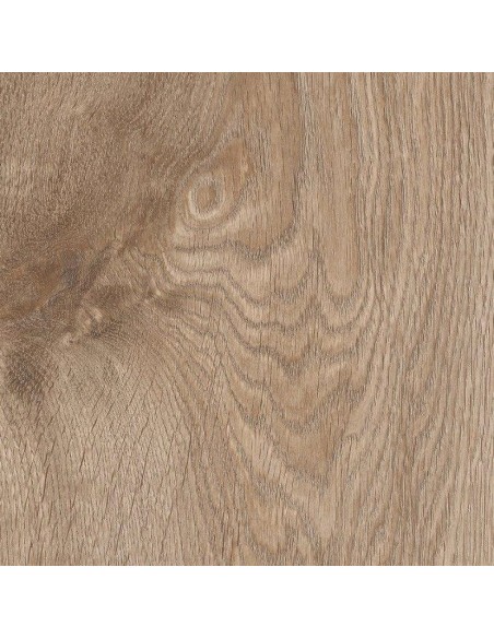 KRONO ORIGINAL ORGANIC CLASSIC 8 EURUS OAK K406