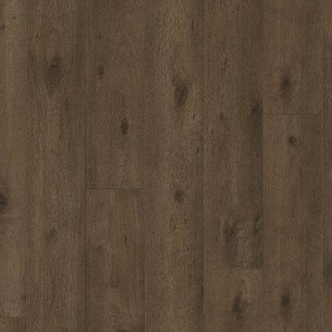PARADOR TRENDTIME 6 ROBLE NOVA CALIZO 1567468