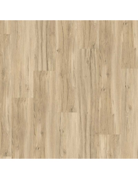 PARADOR BASIC ROBLE INFINITY GRIS 1730635