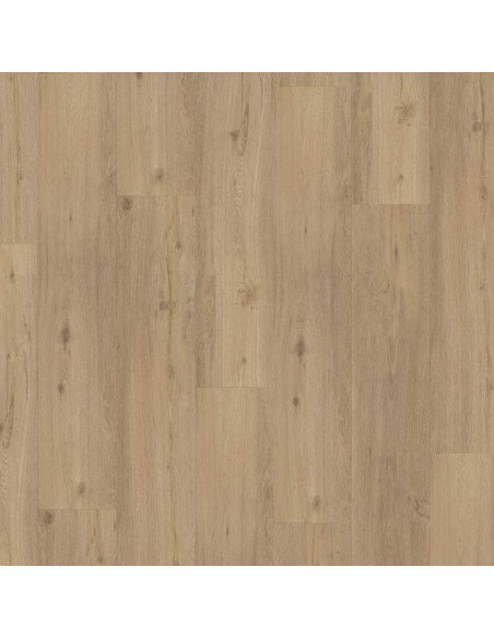 PARADOR CLASSIC ROBLE EXPLORER CARAMELO 1744610