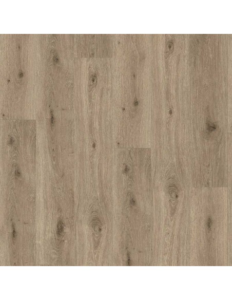 PARADOR TRENDTIME 8 ROBLE IMPERIAL GRIS CLARO 1744828