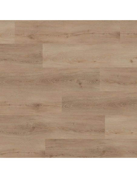 TER HURNE CLASSIC EDITION ROBLE BRUJAS