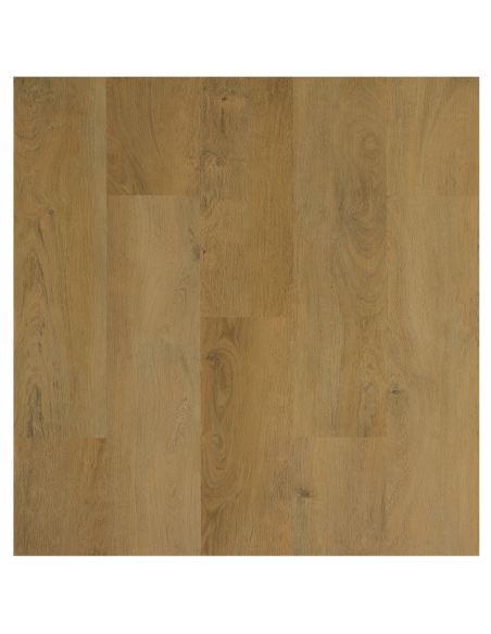  vinilico Galaxy Line Serie Orion Basic Silence Artic 