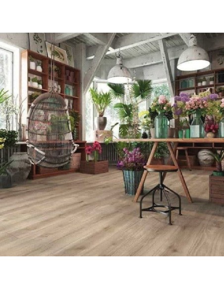 KRONOPOL TERRA ROBLE VENECIA D6201
