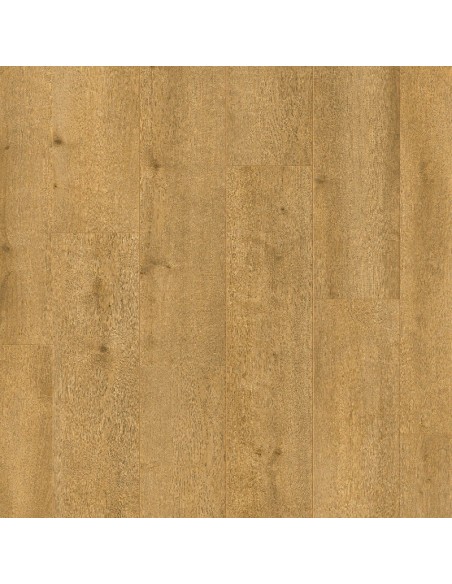 DISTRIBUTEURS N°1, LEADER DES VENTES DE BALTERIO LIVANTI PRO