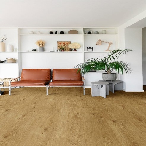 DISTRIBUTEUR Nº1 EN SOL BALTERIO LIVANTI PRO CHENE TAVEL