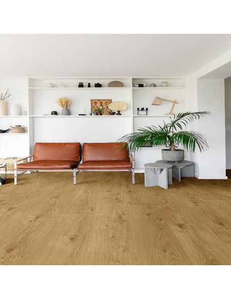 DISTRIBUTEUR Nº1 EN SOL BALTERIO LIVANTI PRO CHENE TAVEL