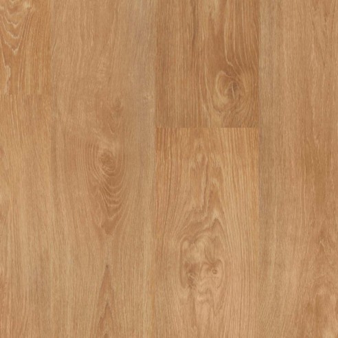 ROBLE ORIGEN