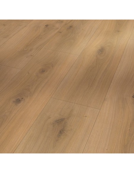 BASIC 600 XS - ROBLE HORIZONT NATUR, 1 LAMA