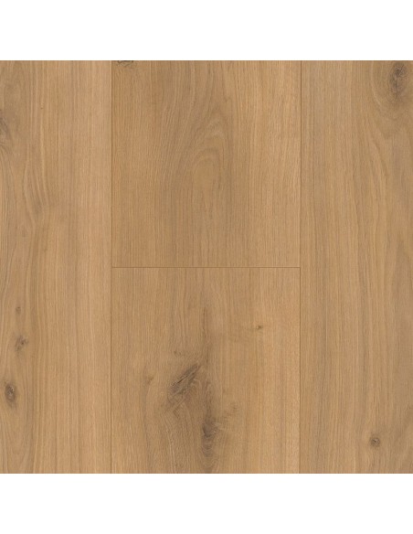 BASIC 600 XS - ROBLE HORIZONT NATUR, 1 LAMA