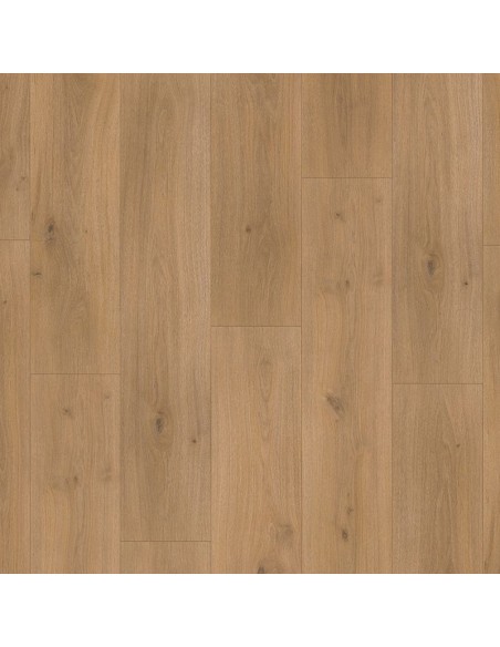BASIC 600 XS - ROBLE HORIZONT NATUR, 1 LAMA