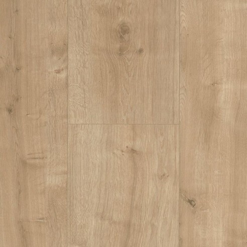 BASIC 600 XS - ROBLE LIJADO, 1 LAMA