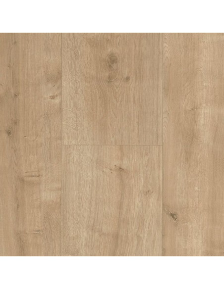 BASIC 600 XS - ROBLE LIJADO, 1 LAMA