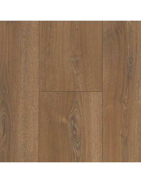 BASIC 600 XS - ROBLE MONTANA CALIZO, 1 LAMA
