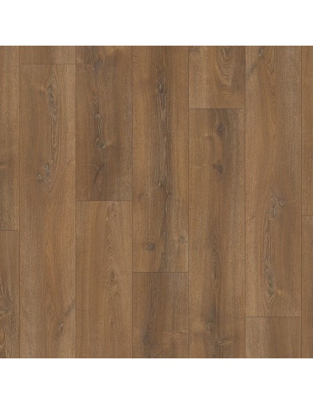 BASIC 600 XS - ROBLE MONTANA CALIZO, 1 LAMA